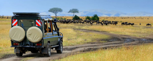 safari en Tanzanie