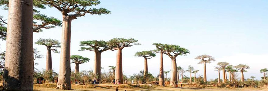 voyage à Madagascar