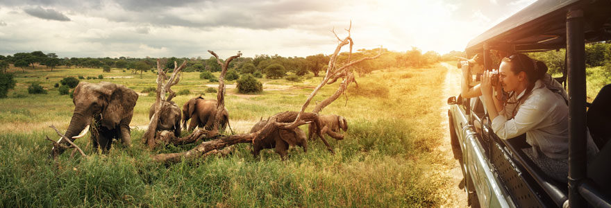 parcs-d'Afrique