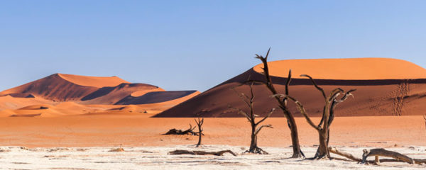 désert de la Namibie