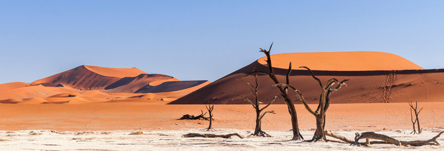 désert de la Namibie